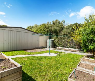 Peaceful Living with a Giant Shed - Photo 5