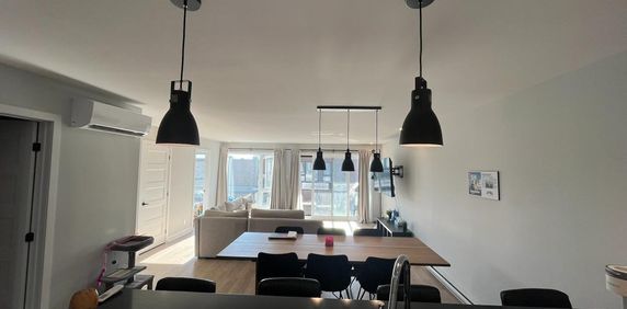 Grand 4½ +bureau, Internet, Domaine sur-le-Vert, St-Hyacinthe, 1 février 2026 - Photo 2