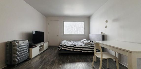 Loft entièrement meublé à louer Sainte-Foy / Sillery août 2026 - Photo 2