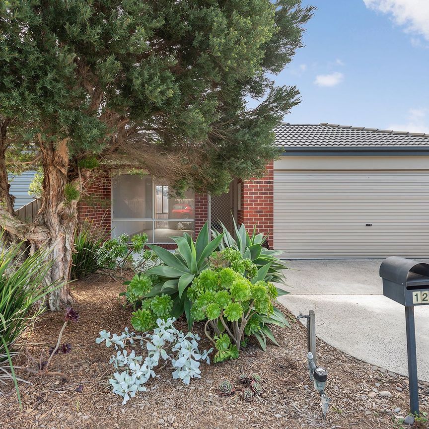 12 Lewin Street, - Photo 1