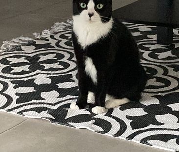 Park Ridge - Photo 3