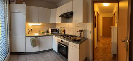 Petit-Lancy 31 Bis, 1213 Petit-Lancy - Photo 5