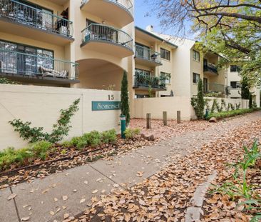 Two-Bedroom Apartment in the Leafy Somerset Complex! - Photo 2