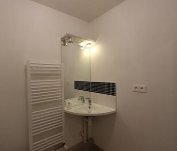 Location Appartement 1 pièce 19m² - Photo 3