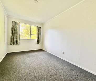 12 Mount Pleasant Road, Aro Valley - Photo 5