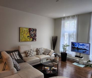 873 Boul. De Maisonneuve E., app.103, H2L 1Y8, H2L 1Y8, Montréal - Photo 1