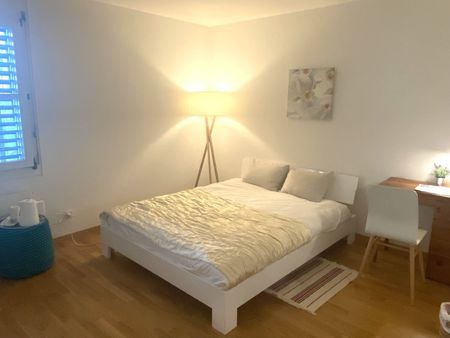 2-ROOM APARTMENT IN BASEL - WETTSTEIN, FURNISHED, TEMPORARY - Foto 3