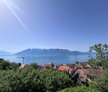 À louer : Villa 5.5 pièces pleine de charme avec vue et grand jardin - Foto 6