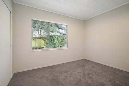 Tidy Mt Eden Unit - Photo 2