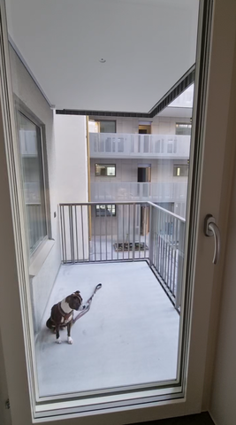 Valfrid Palmgrens gata, Stockholm - Foto 4