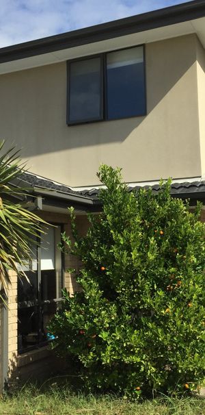 Large Family Townhome - Photo 1