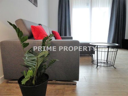 Mieszkanie Kraków Stare Miasto powierzchnia 77.0 m² C389-WM-34200 - Photo 4