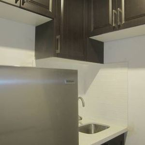 Bachelor Apartment (Dundas/Ossington) - Photo 2