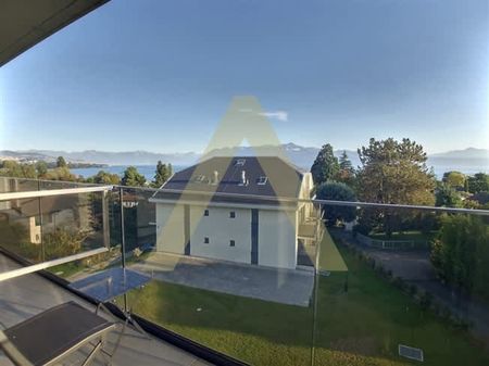 2 Zimmer, EG - Photo 5