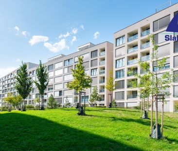 Pronájem bytu 1+kk a garsoniéry 45 m², Breitfeldova 709, Praha Karlín - Photo 6