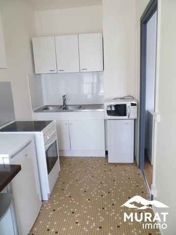 Location Appartement 1 pièce 24m² CHAMALIERES 63400 - Photo 4