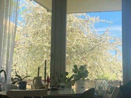 Korphoppsgatan, Stockholm - Photo 3