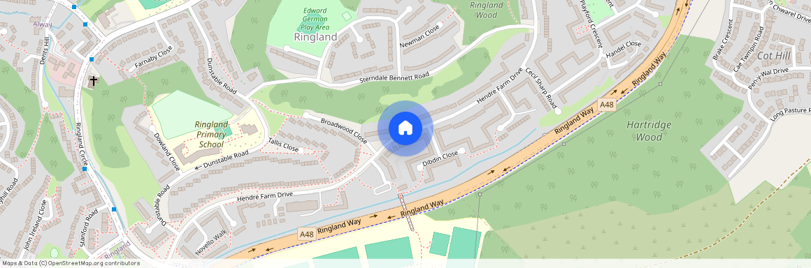 Hendre Farm Drive, Newport, NP19