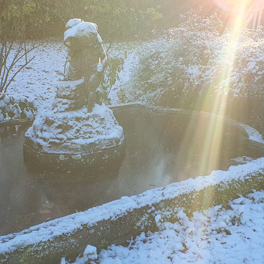 Gyllerupsvägen, Löderup - Foto 2