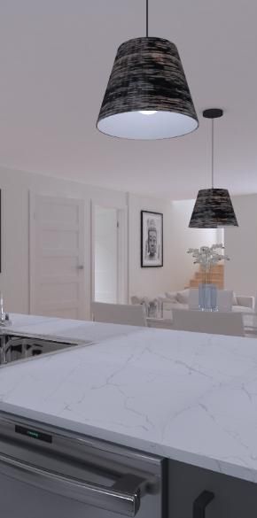 Grand 4½ +bureau, Internet, Domaine sur-le-Vert, St-Hyacinthe, 1 février 2026 - Photo 1