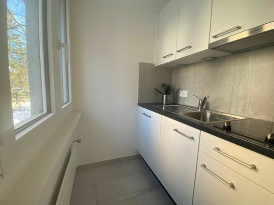 Appartements de 1.5 pièces neuf – possibilité de louer meubler - Photo 1