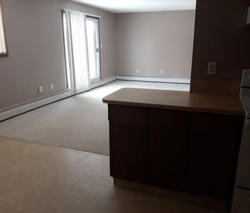 3522-49 Avenue (2 Bedroom / 1.5 Baths – South Hill) Red Deer – $129... - Photo 6