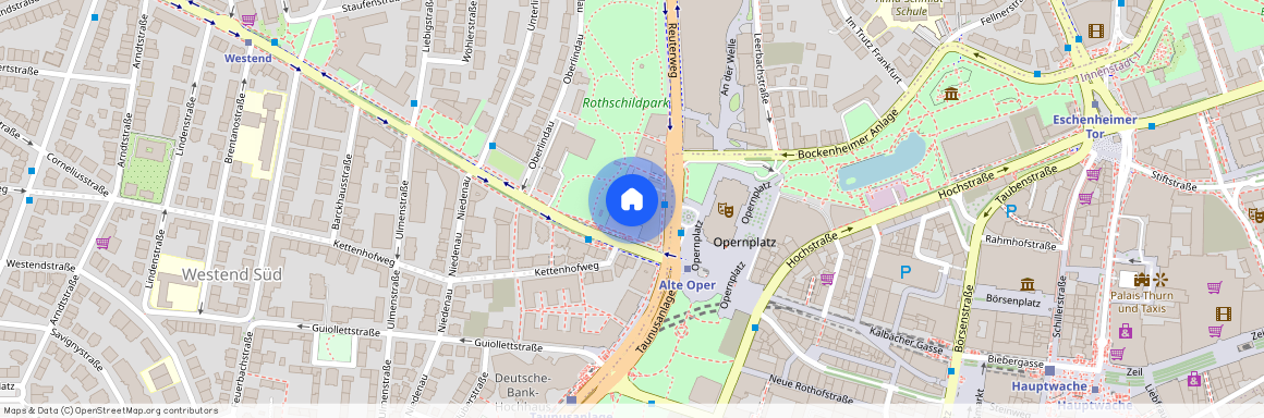 60306 Frankfurt am Main - Westend