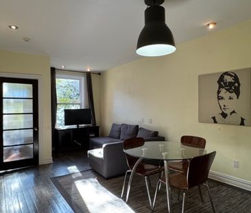 Appartement à louer - Montréal (Le Plateau-Mont-Royal) (Le Plateau-... - Photo 3