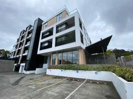 2 Bedroom Apartment, Epsom - Photo 4