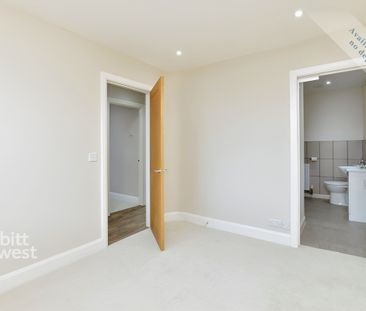 3 bedroom detached bungalow to rent - Photo 2