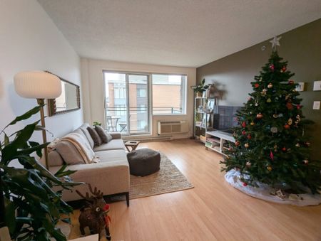 1280 Rue St-Jacques, app.1007, H3C 0G1, H3C 0G1, Montréal - Photo 4