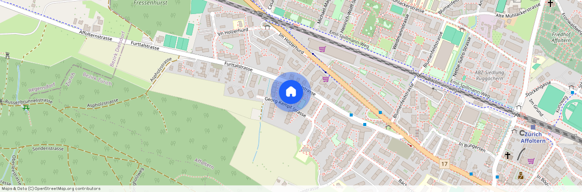 Georg-Kempf-Str. 12, 8046 Zürich, Lageplan