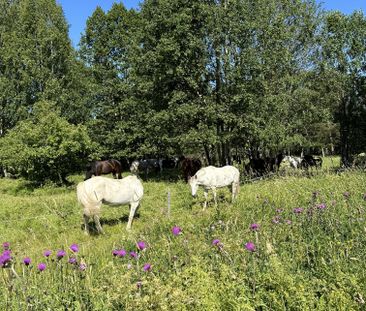 Åkermanskulle, Gävle - Photo 6