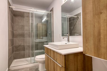 9675 Av. Papineau - Photo 5