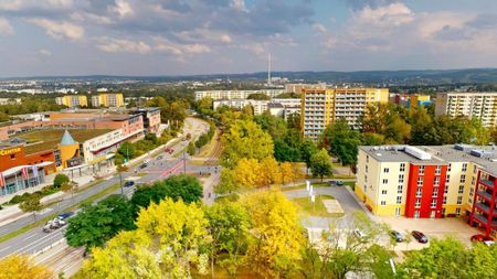 Hoch oben genießt Ihr den besten Blick - Foto 3