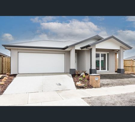 4 Towong Street, Alfredton, Vic 3350 - Photo 5
