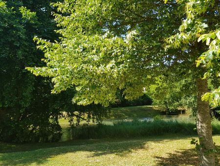 Appartement T3 dans petite résidence calme dans un cadre verdoyant à C - Photo 5