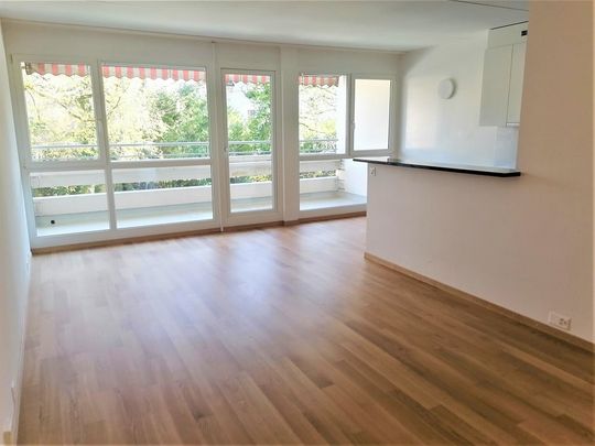 Quartier de la Gradelle - Chêne-Bougeries - Photo 1