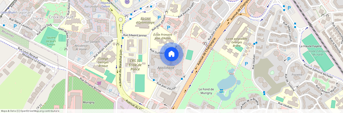 16 Rue Guillaume Apollinaire, 51100 Reims