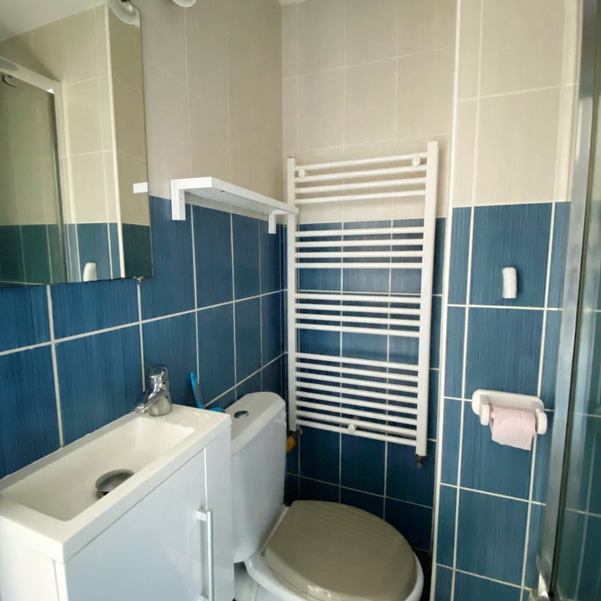 Location Appartement 1 pièce 15m² SULLY SUR LOIRE 45600 - Photo 1