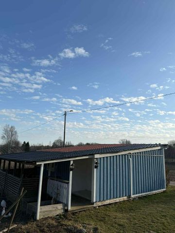 Skärlöta vibo, Norrköping - Foto 2