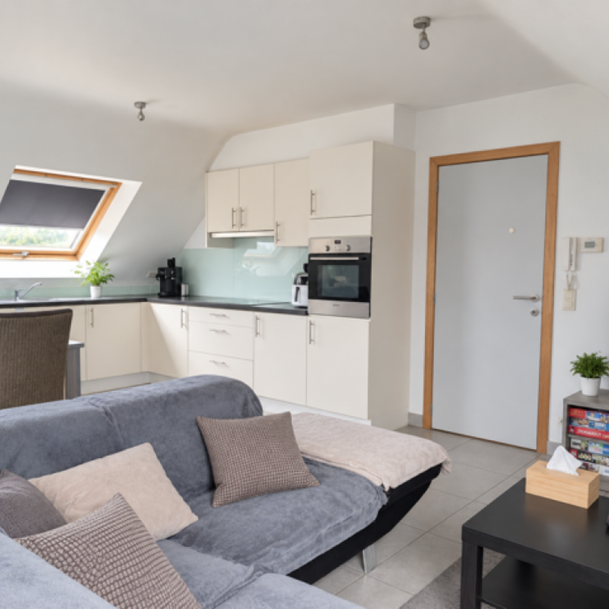 Dakappartement te huur in Nieuwerkerken - Photo 1