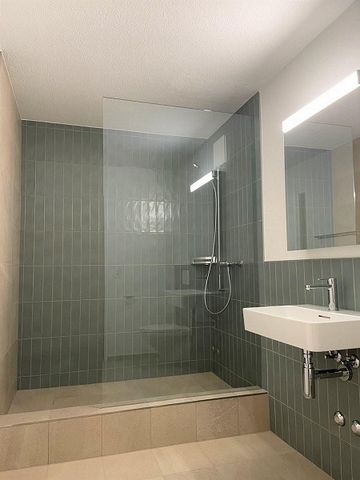 Erstvermietung, lichtdurchflutete Wohnung zu vermieten - Foto 5