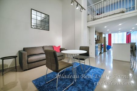 117 Quai St-André #003 - Photo 5