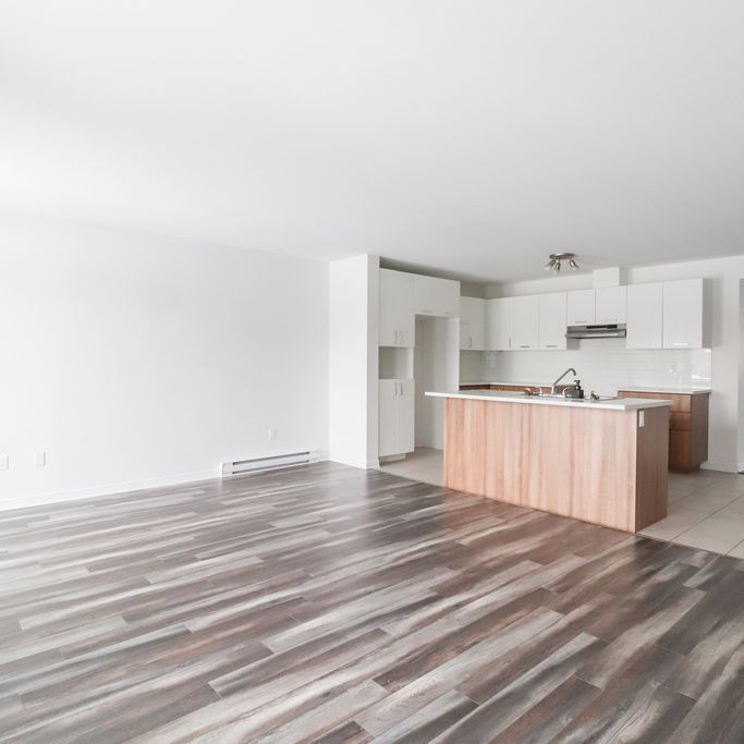 Grand Logement 2 Chambres à Louer - Photo 1