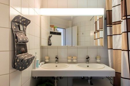 Dream home on the Reuss River - Foto 3