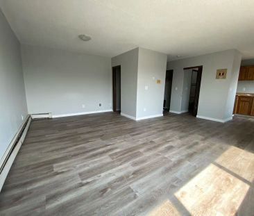 Plaza 101 *Capilano Area* — Bachelor - Photo 1