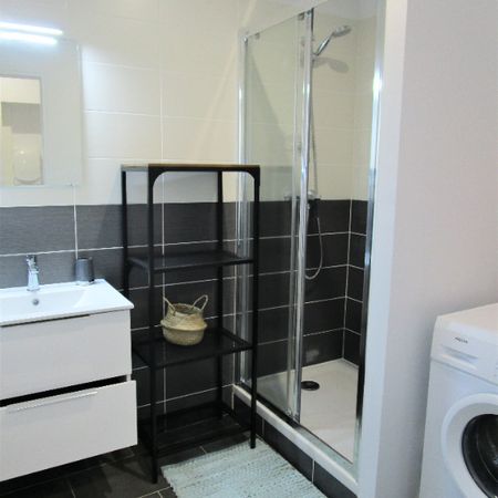 Location Appartement 1 pièce 25m² - Photo 3