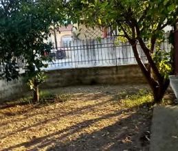 Μονοκατοικία για ενοικίαση - Σπάρτη, - Photo 5