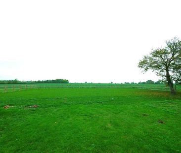 The Barn, Birds Green, Fyfield, Essex, CM5 - Photo 4